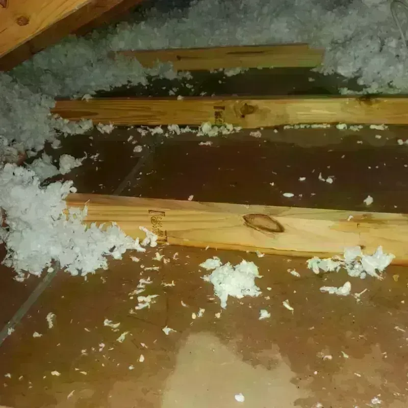 Attic Water Damage in San Martin, CA